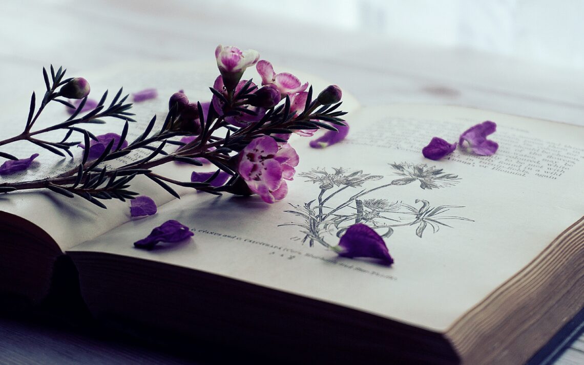 flowers in purple on a book
